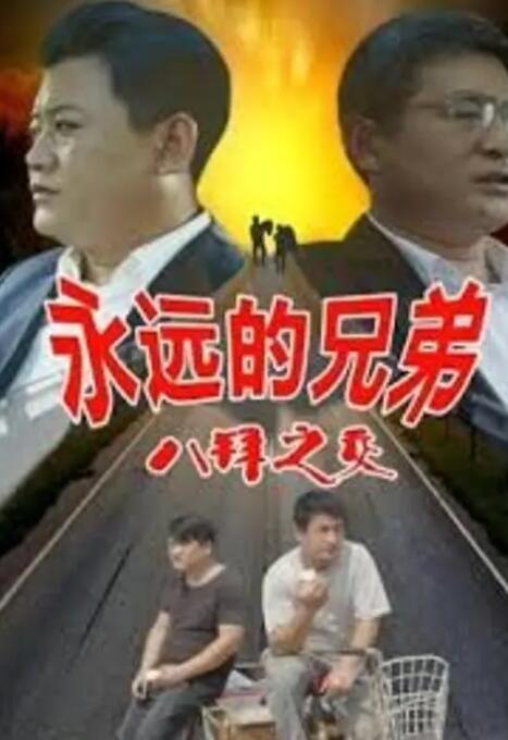 天天精品视频
